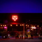 Neon_Tiger_-_Front_at_Night_