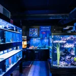 Tideline Aquatics Interior